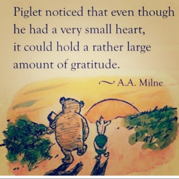 ⚜️ NEUTRAL Khaki LINEN Versatile VEST SZ 12 - Picture 8 of 16